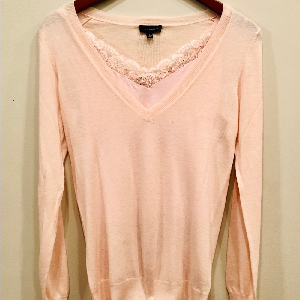 THE LIMITED V-Neck Sweater and Lace Camisole